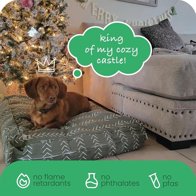 Molly Mutt Huge Dog Bed Cover - Forever Young Print - Measures 36”X45”X5”- 100% Cotton - Durable - Breathable - Sustainable - Machine Washable Dog Bed Cover (Dd82c)