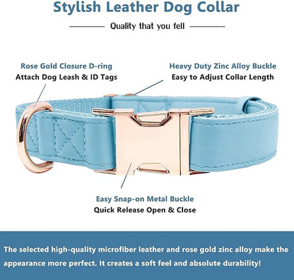 Soft Leather Dog Collar and Leash (6.6') Set - Stylish Rose Gold Heavy Duty Metal Buckle, 4 Adjustable Lengths Leash for Small Medium Large Dogs - Comfortable & Easy to Clean Light Blue XS(8"-12")