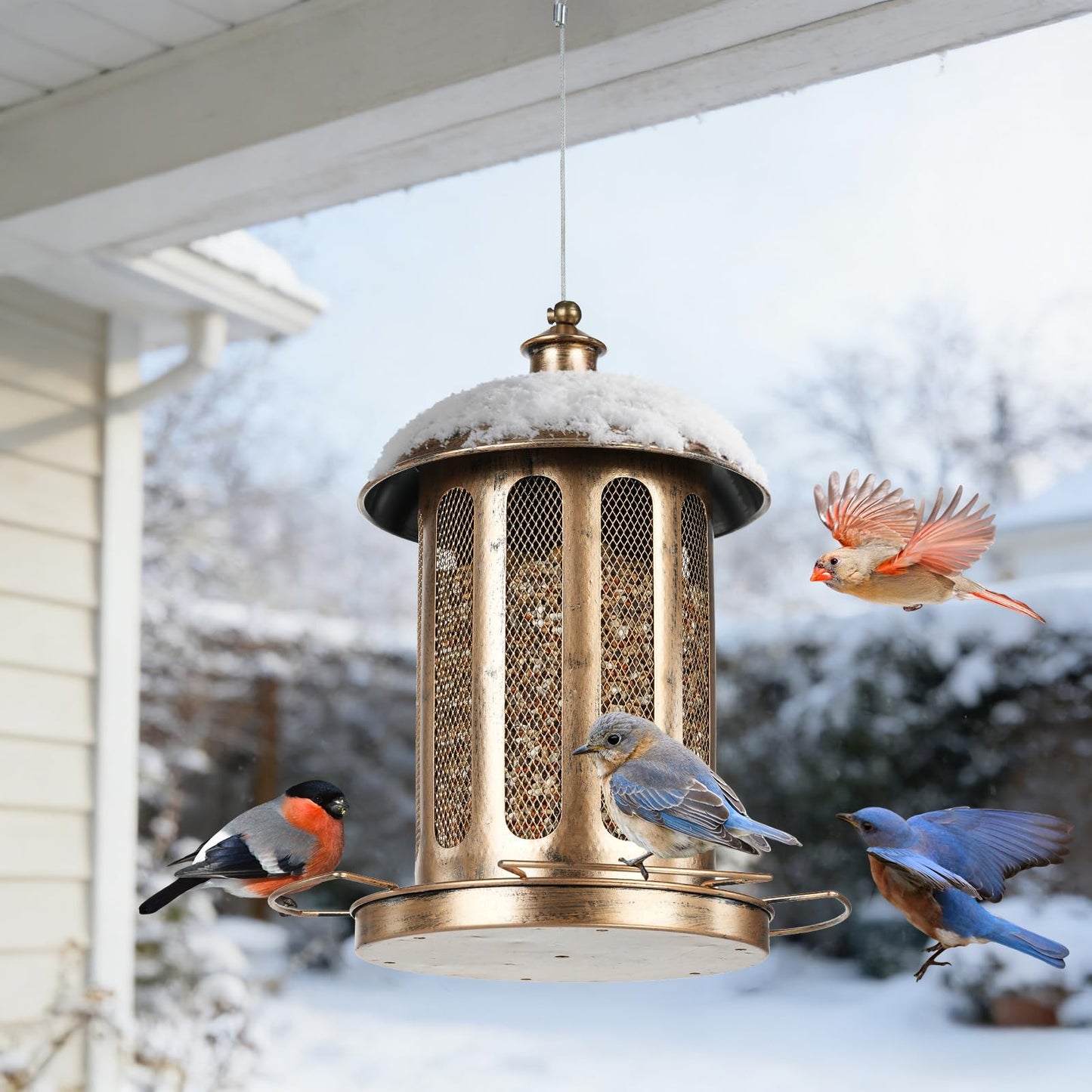 IWNTWY Bird Feeder, Large Capacity Bird Feeders for Outdoor Hanging, Heavy Duty Metal Wild Birdfeeder for Outside Garden Yard Decor, Retro Lantern Shape