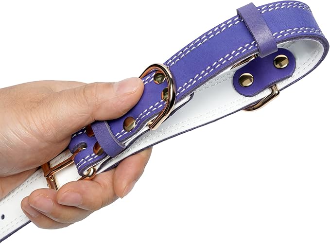 Genuine Leather Dog Collar, Heavy Duty Wide Dog Collar, for Small,Medium, Large and Extra Large Dog (XL: 1.4" Wide for 18.6"-25.8" Neck, Dual Stitch - Purple)
