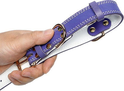 Genuine Leather Dog Collar, Heavy Duty Wide Dog Collar for Small, Medium, Large and Extra Large Dogs (M: 1" Wide for 15.2"-19.2" Neck, Dual Stitch - Purple)