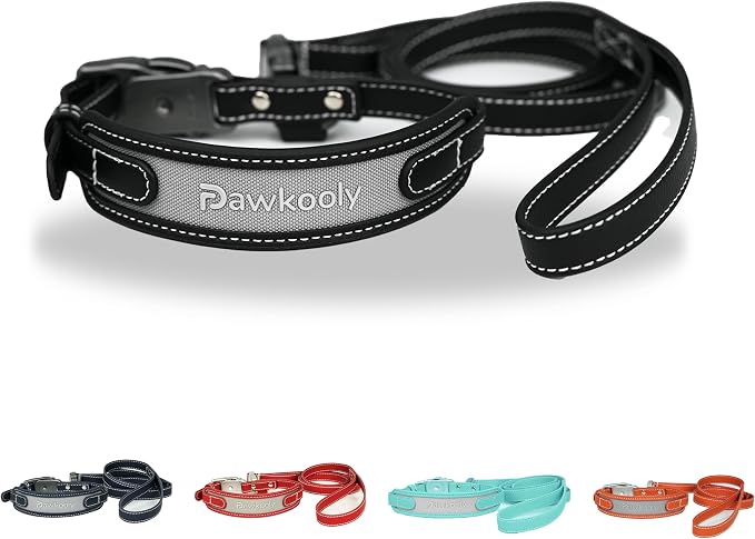 MagEase Dog Collar with 4FT Leash | Adjustable | Anti-Wrinkle, Bite & Stain-Resistant Leather | Soft & Skin-Friendly | 450LB Escape-Proof Magnetic Buckle (Black, Medium)
