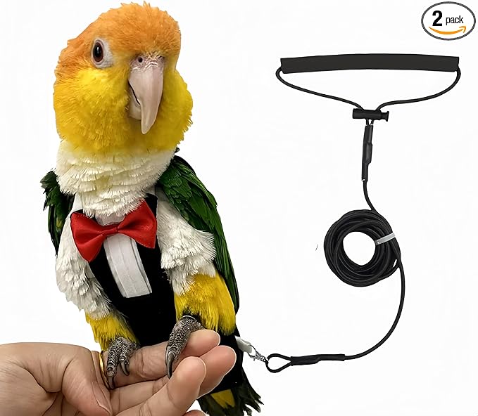 Bird Diapers Bird Harness Tuxedo Flight Suits with 80in Flying Leash Parrot Nappy with Waterproof Inner Layer Urine Wet Suite for Cockatiel Conure Parakeet Macaw Budgie-Black,L