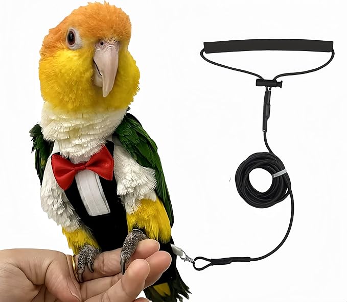 Bird Harness Leather Set Tuxedo Flight Suits with Nappy Diapers Waterproof Inner Layer Urine Wet for Parrot Cockatiel Conure Parakeet Macaw Budgie (3XL)