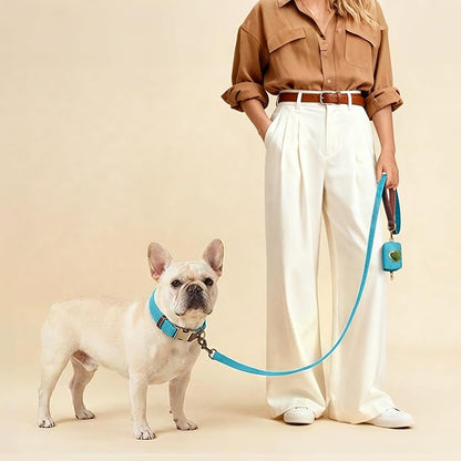 Didog Soft PU Leather Dog Collars for Medium Dogs,Classic Adjustable Dog Collars with Quick Release Metal Buckle,Easy Clean and Comfortable with Nylon Lining,Light Blue,M Neck 14-19"