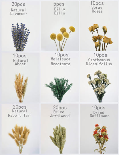 DIY Natural Dried Flower Set, Bulk Dried Flowers for Vase, Dried Flowers with Stems, Dried Roses, Mini Dried Flower Bouquets.(Brown)