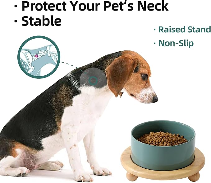 Havniva Raised Cat Bowls Water Bowl 6.1” Elevated Ceramic Cat Food and Water Bowl Whisker Friendly Pet Food Bowls for Indoor Cats, Wide Cat Water Dish Prevent Whisker Fatigue Non Slip Cat Feeder