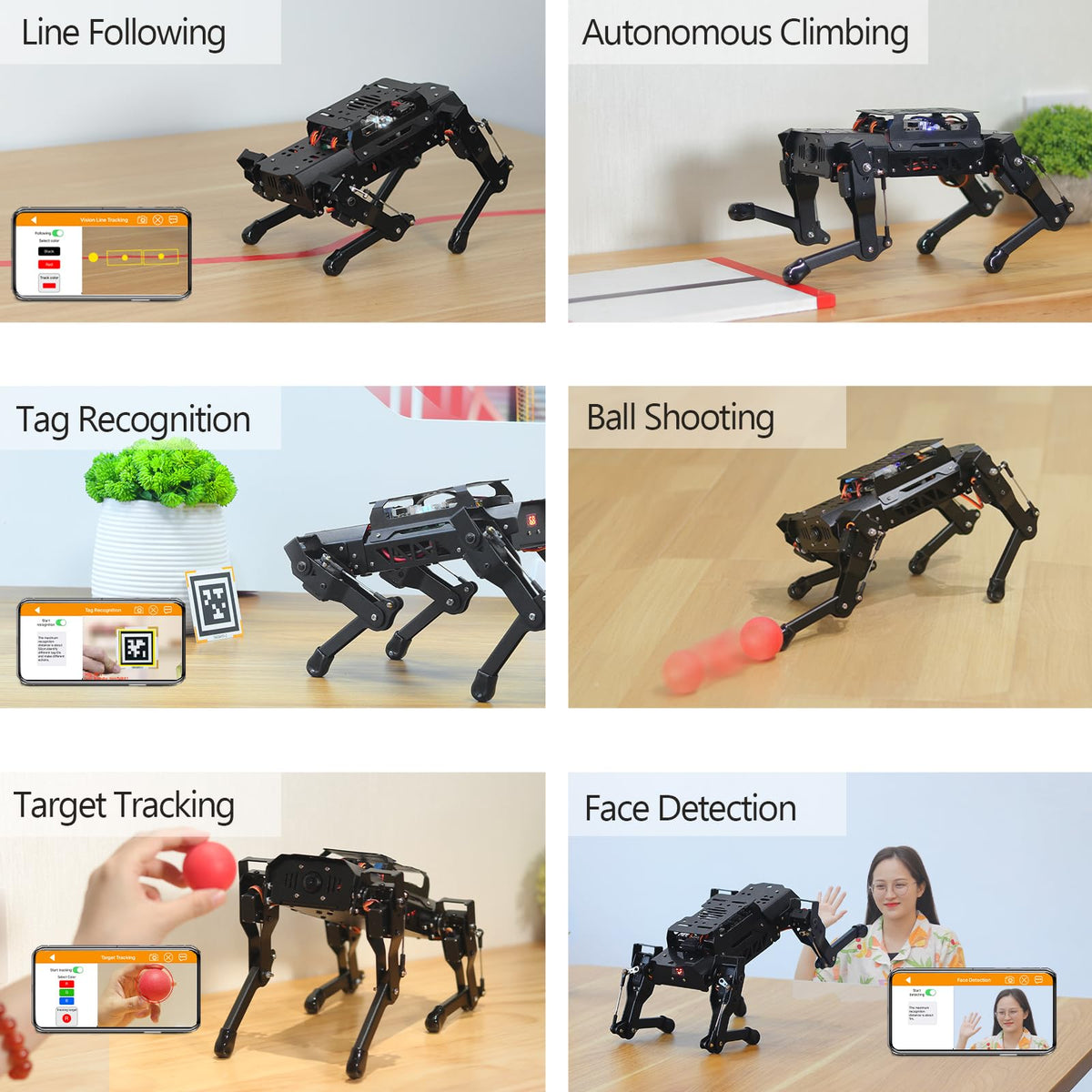 PuppyPi ROS2 Robot Dog with ChatGPT Large AI Models AI Embodied Intelligence Robotic Dog Vision Scene Voice Command Understanding Bionic Quadruped ROS Education Robot, Advance & RaspberryPi5 8GB