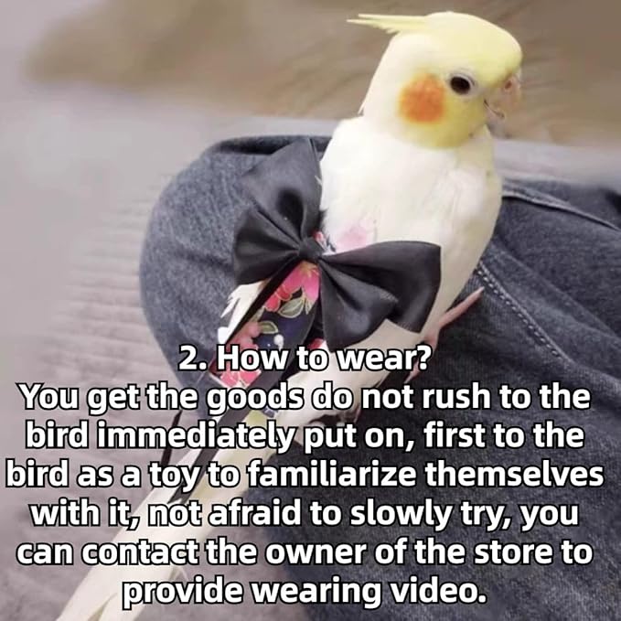 Bird Diaper Parrot Washable Diapers, Parrot Flight Suit, Reusable Nappies for Parakeet Cockatiel Mini Macaw Budgie Conure Lovebird (Black,Pigeon)