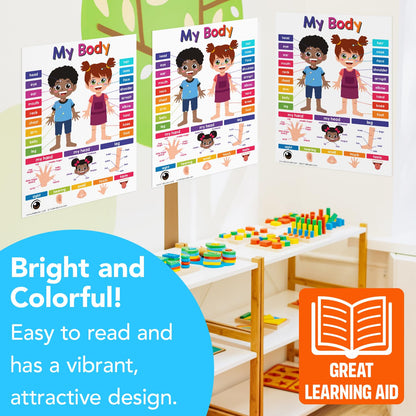 Educational Charts for Preschool to Grade 1 – Bright and Colorful Educational Visual / Learning Aid Wall Art Poster for Classroom or Home | Glossy Durable Cardstock | 8.5" x 11" | 5 per Pack (My Body)
