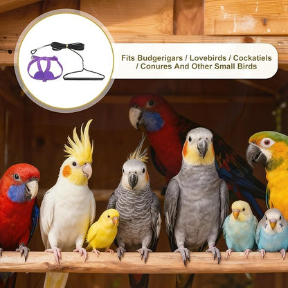 Bird Harness Leash, Adjustable Pet Parrot Bird Harness and Leash Lightweight Anti-Bite Flight Training Rope with Cute Wing, (Purple, XS), Intended for Parrots/Pigeons/Budgies