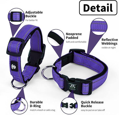 NESTROAD Dog Collar and Leash Set,Reflective Dog Collars with Quick Release Buckle,Adjustable Nylon Pet Collar for Small Medium Large Dogs(Large,Purple)