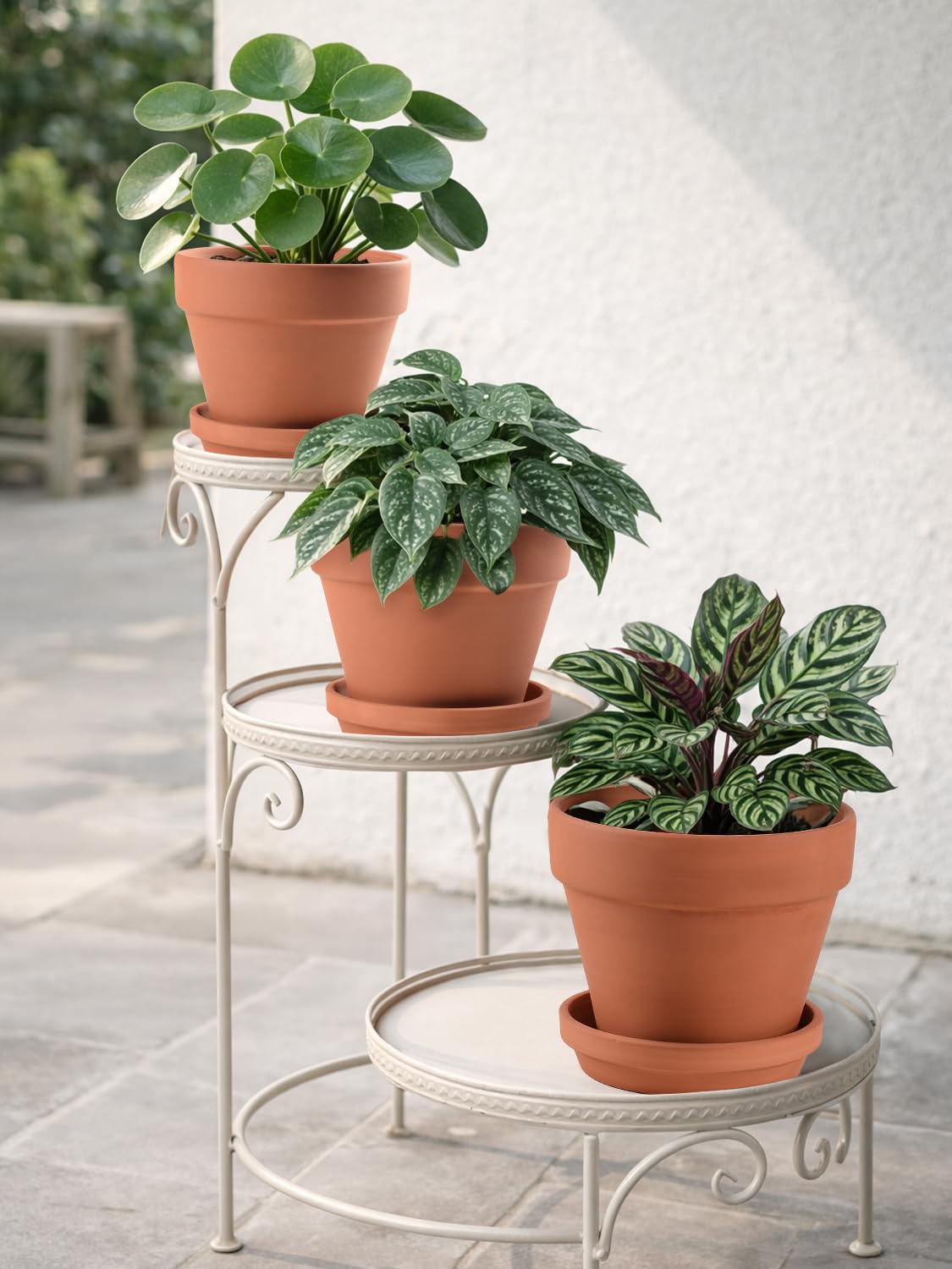 INGOFIN Terracotta Pots Set with Saucer - 5/6/7 inch Ceramic Clay Planters with Drainage Hole, Garden Flower Succulent Pots with Tray for Indoor Outdoor Plants, Set of 3