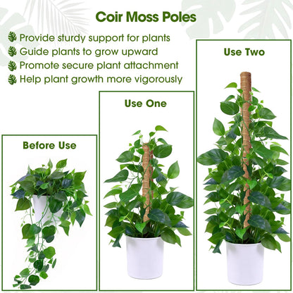 4 Pack 20 Inch Moss Poles, Stackable Moss Pole Monstera Plant Support, 66 Inch Tall Plant Stakes for Climbing Plants Indoor, Coir Plant Support Stick Stand for Potted Plants, Pothos, Philodendron