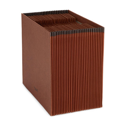 Blue Summit Heavy Duty Accordion File Organizer, Expanding File, Open Top, Letter Size, 31 Day File Organizer with 31 Pockets