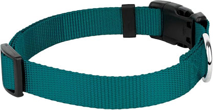 Country Brook Petz - Everyday Nylon Dog Collar and Leash - 10+ Cool Colors (1 Inch, Extra Large, Teal)