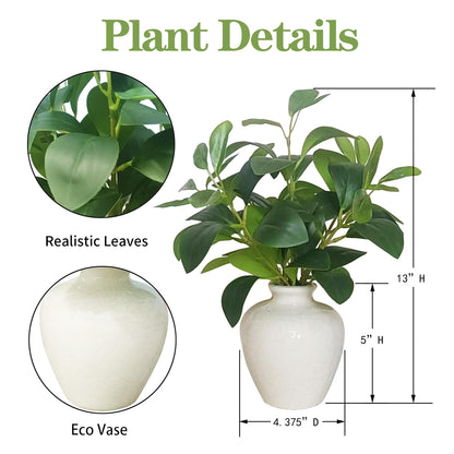 XINMAMODA 13-inch Artificial Pilea Leaves - Fake Green Plants in the Ceramic vase, Small Bedroom Faux Potted Plant, Suitable for Rustic Style bathrooms, Kitchens, desks as Decoration.