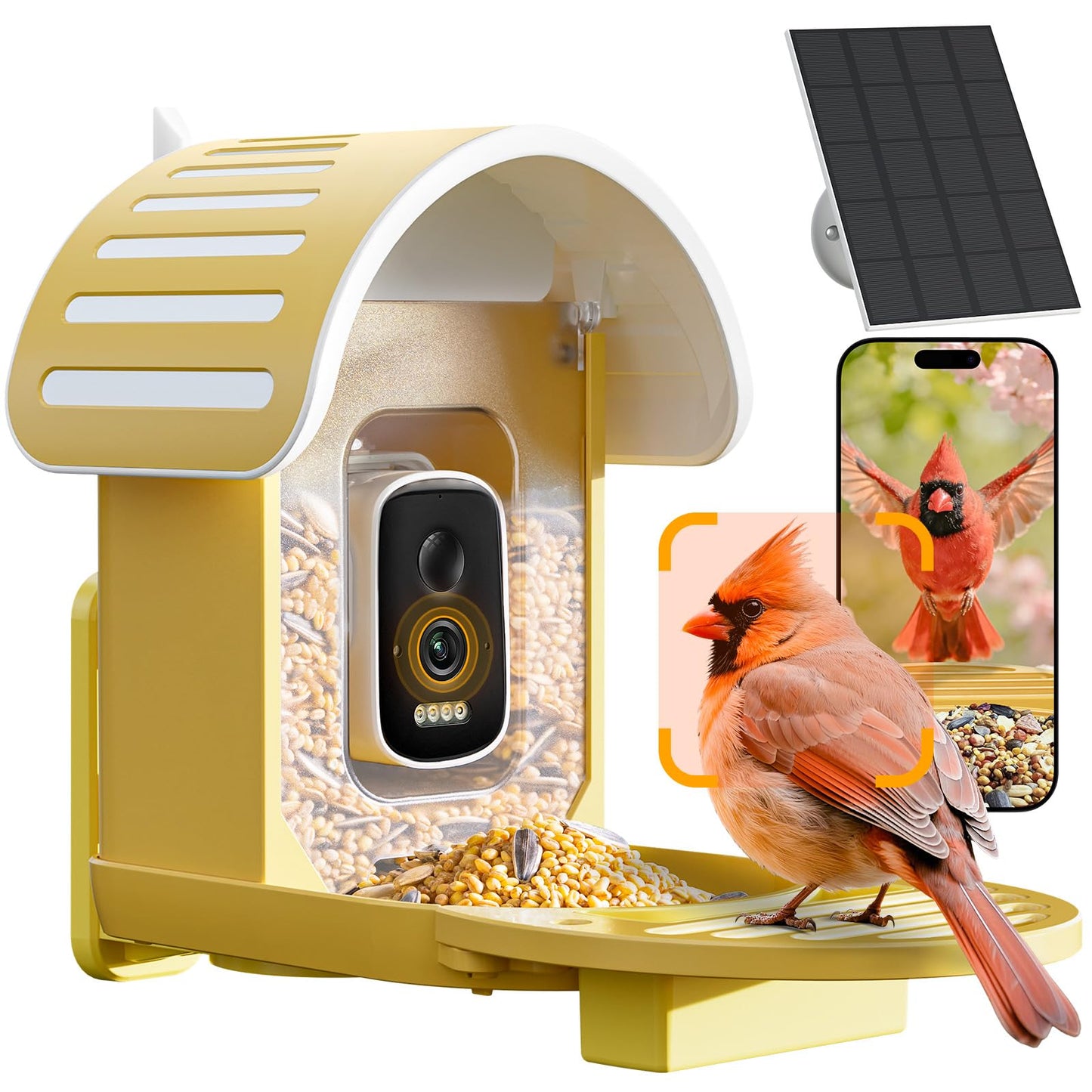 Smart Bird Feeder with Camera, Yellow
