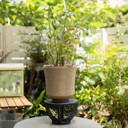 ANLYAWX Indoor Wooden Plant Stand Holder for Sill, Desktop, - Single Flower Pot Rack for Small Plants - Unique Tree Root Design Elevate Your Plants in Style and Provide Additional Sunlight