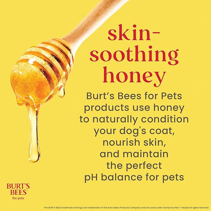 Burt’s Bees for Pets Tear Free Puppy Shampoo & Conditioner with Buttermilk, 2 in 1 Gentle Dog Shampoo for Puppies, Cleans and Conditions Sensitive Skin, 16 Fl Oz - 6 Pack
