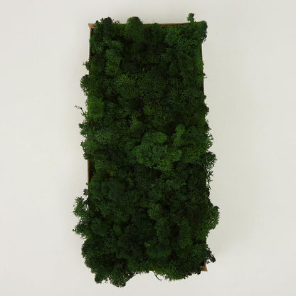 Prefleur Preserved Reindeer Craft Moss Natural DIY Kit Gardenning Art Wall Olive Green Florist Easter Table Decor Wedding(0.85lb)(Green-12)