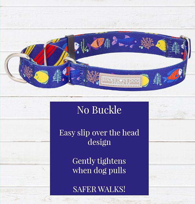 Lucky Love Dog Tropical Fish Pattern Martingale Collar and Leash Set, Summer Themed No Slip Collars for Large Dogs, Great for Whippets, Greyhounds, and More (Mackey, Large - Combo)