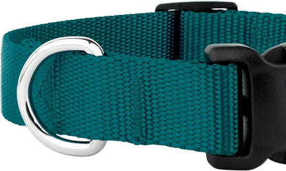 Country Brook Petz - Everyday Nylon Dog Collar and Leash - 10+ Cool Colors (1 Inch, Extra Large, Teal)