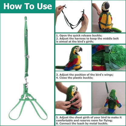 ASOCEA Adjustable Bird Harness and Leash, 2 Pack Bird Food Stainless Steel Cups for Yellow Naped Amazons Galah Cockatoos Small to Medium Breed Parrots Fits Birds Chest