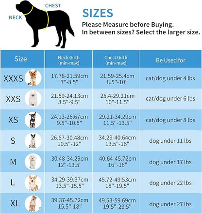 AIITLE Step in Dog Harness and Leash Set - No Pull Escape Proof Vest Harnesses with Soft Mesh and Reflective Bands, Adjustable Pet Outdoor Harnesses for Small and Medium Dogs Pure Turquoise M