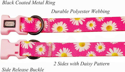 Dog Collar and Leash Set, Cute Pink Daisy Pattern, Polyester Material, 5ft Leash, for Small Dogs.(S, Daisy Set)