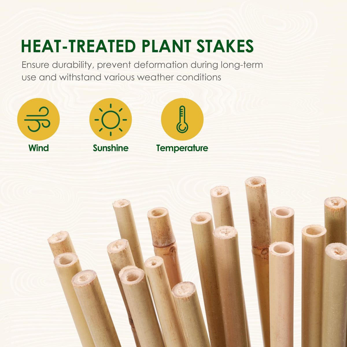 Cambaverd Bamboo Sticks for Plants 2 Feet Bamboo Stakes for Indoor Gardening Plant Stakes Supports Potted Plants Mini Trees Garden Stakes - Pack of 30 Bamboo Poles