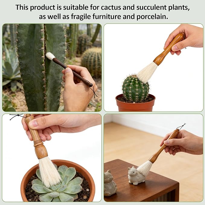 Cactus Plants Cleaning Brushes, Wooden Handles
