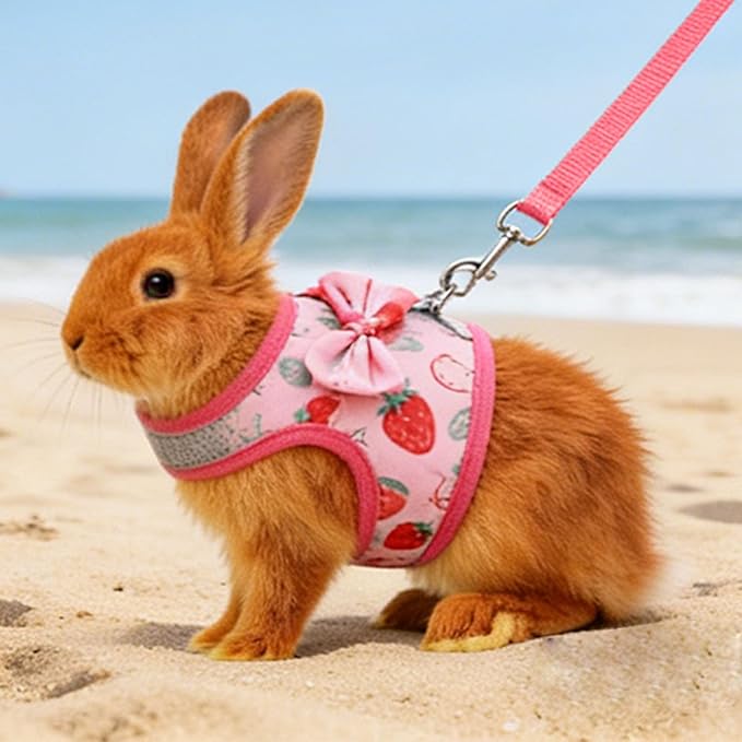 Small Pet Harness and Leash, Escape Proof Rabbit Vest with Soft Edges Dual Safety Buckles for Bunny Guinea Pig Ferret Chinchilla (M)