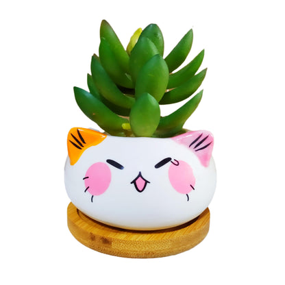 Cuteforyou Cute 3.5 Inches Indoor Cartoon Animal Cat Shaped Ceramic Succulent Cactus Flower Plant Pots with Bamboo Tray-Plant Not Included (6 Corlors)