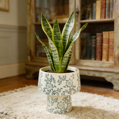 Blue and White Ceramic Flower Pot with Drainage Hole ，Elegant Succulent Plants and Orchid Planters , Home Decor Flowerpots with Tall Cup Shape Suitable for Tiger Tail Orchid and Floral Plants (BIG)