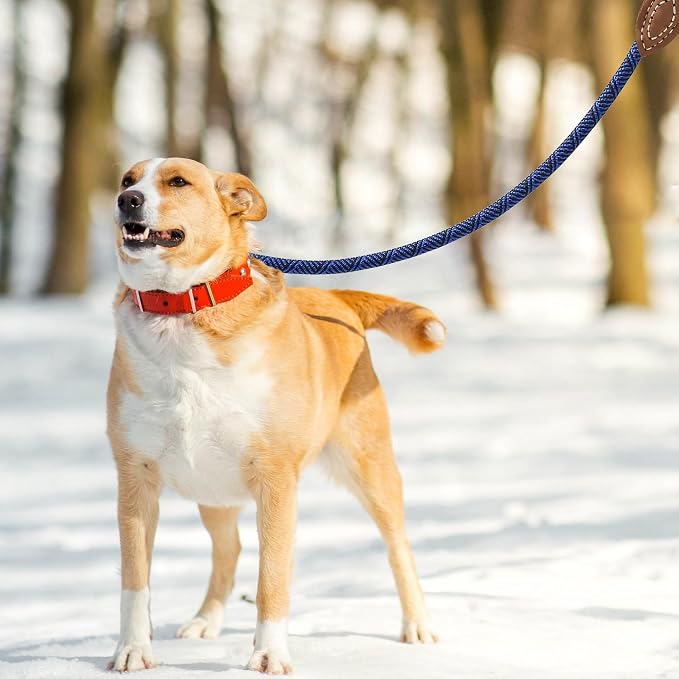 Mile High Life Rope Leash with Genuine Leather Connection, 6 FT/5 FT/4 FT, Heavy Duty Leash for Medium & Large Dogs (Blue, 60 Inch)