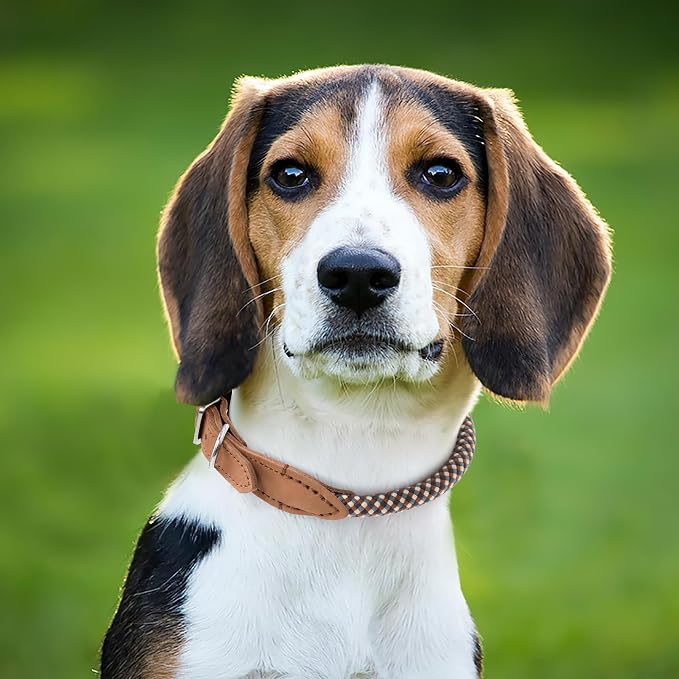 Mile High Life Genuine Leather Dog Collar, Durable Braided Cotton Rope Collar with Metal Pin Buckle for Small Medium Large Dogs (Brown Plaid, L Neck 17"-21")