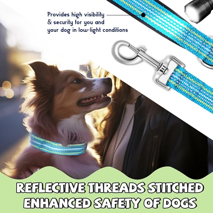 Reflective Dog Collar and Leash Set, Nylon Dog Leash with Heavy-Duty Steel D-Ring, Adjustable with Quick Release Buckle for Small Dogs,Cyan S