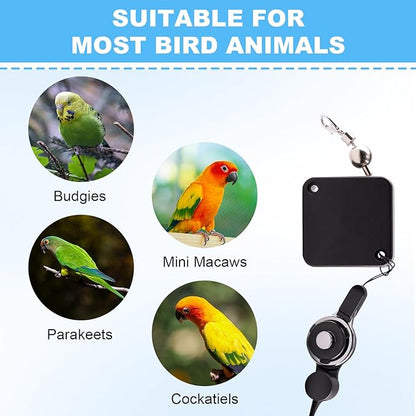 Retractable Bird Leash, with 5 Different Size Foot Ring and Feeder Box, Anti-Bite Parrot Harness Bird Flight Training Rope for Budgies, Cockatiels, Psittacula Longicauda, Mini Macaws (19.69Ft)