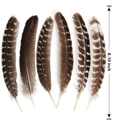 THARAHT 24pcs Natural Wild Turkey Wing Feathers Quill Bulk 8-10inch 20-25cm for DIY Crafts Project Collection Wedding Decoration Wild Turkey Tails Feather