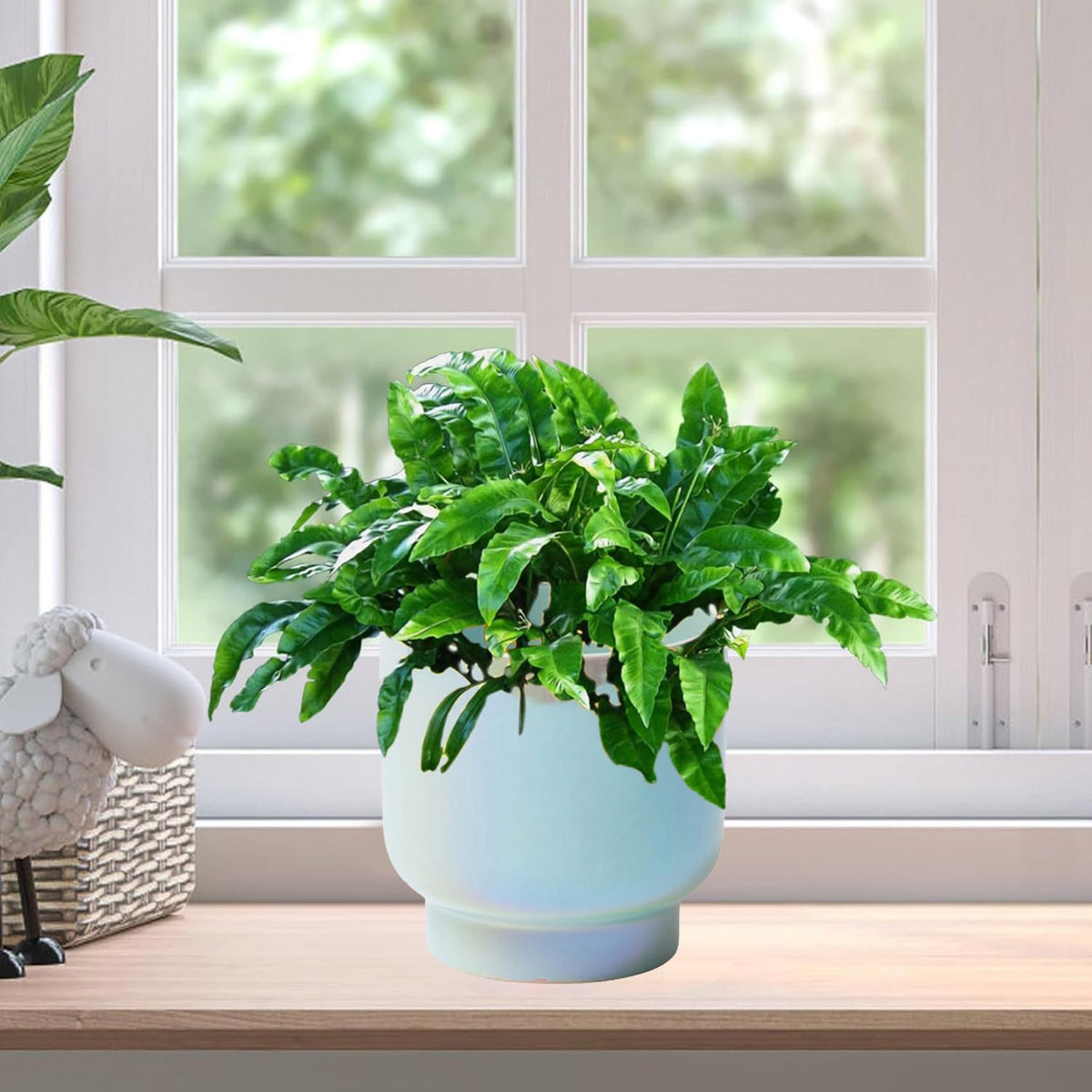 LB Blue Ceramic Planters for Indoor Plants, Succulent Plant Pots Ceramic Plant Pot, Modern Flower Pots for Living Room Office Home Decor, Round Flower Pot of 4.3 Inch(Plant Not Included)