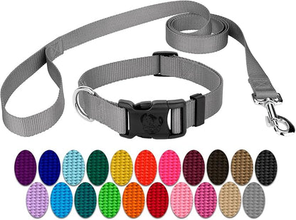 Country Brook Petz - Everyday Nylon Dog Collar and Leash - 10+ Cool Colors (1 Inch, Large, Silver)