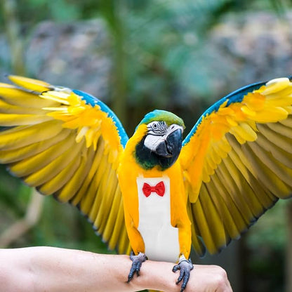 Generic Bird Diaper for Parrots Breathable Costume for Cockatiels Pigeons and Parakeets Washable Reusable Nappy Clothes for Birds