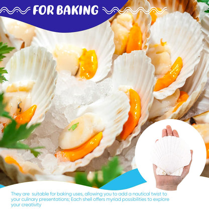 GlikCeil 50 Pcs Sea Shell for Crafting Natural Large Scallop White Oyster Shells Bulk for Decorating DIY Home Decor Beach Wedding Ocean Themed Party(3.5''-3.9'')