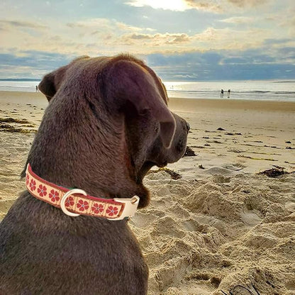 Woven Dog Collar with Metal Buckle Adjustable Jacquard Retro Dog Collars for Small Medium Large Dogs(Brick Red,S)