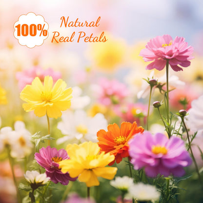 Maasechs 96 Pcs Natural Dried Pressed Flowers for Cake Topper Decorating Cupcake Toppers Cocktails Resin Jewelry Making DIY Art Crafts