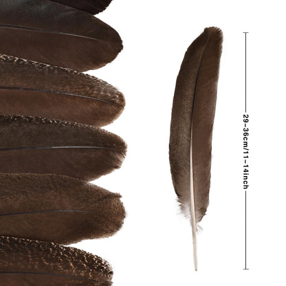MehelloFeather Peacock Wing 11-14 Inch Natural Feather 6 Pcs Crafts for DIY Home Decoration Wedding Centerpieces Party Supplies