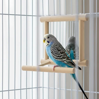 Hypeety Bird Parrot Mirror Toy Swing Hanging with Perch for Parrot Parakeet Budgies Cockatiel Conure Finch Lovebird (D)