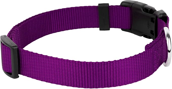 Country Brook Petz - Everyday Nylon Dog Collar and Leash - 10+ Cool Colors (1 Inch, Extra Large, Purple)