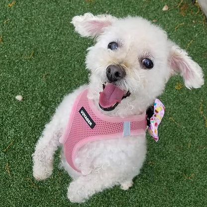 Best Pet Supplies Voyager Step-in Air All Weather Mesh Harness and Reflective Dog 5ft Leash Combo with Neoprene Handle, for Small, Medium and Large Breed Puppies - Pink, X-Large